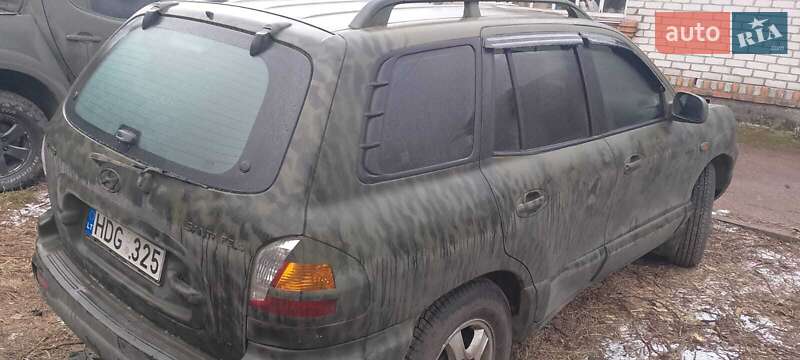 Внедорожник / Кроссовер Hyundai Santa FE 2004 в Житомире