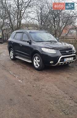 Позашляховик / Кросовер Hyundai Santa FE 2009 в Охтирці