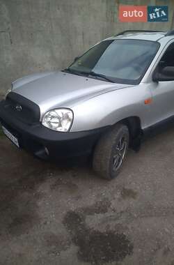 Позашляховик / Кросовер Hyundai Santa FE 2002 в Нікополі