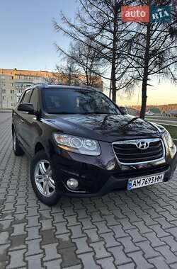 Позашляховик / Кросовер Hyundai Santa FE 2010 в Звягелі