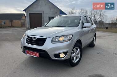 Позашляховик / Кросовер Hyundai Santa FE 2010 в Радивиліві