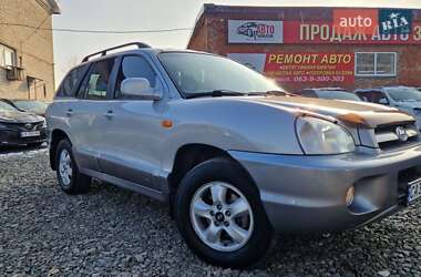 Внедорожник / Кроссовер Hyundai Santa FE 2006 в Смеле