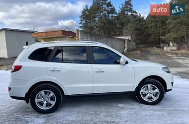 Внедорожник / Кроссовер Hyundai Santa FE 2010 в Радивилове