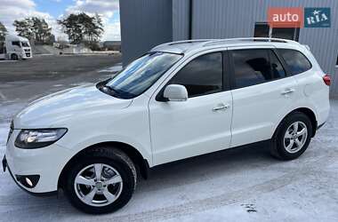 Внедорожник / Кроссовер Hyundai Santa FE 2010 в Радивилове