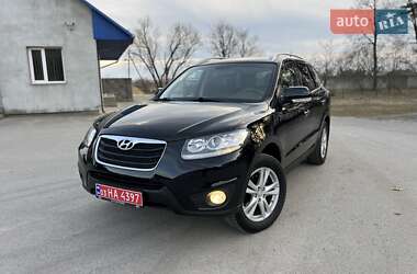 Позашляховик / Кросовер Hyundai Santa FE 2010 в Радивиліві