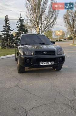 Внедорожник / Кроссовер Hyundai Santa FE 2004 в Днепре