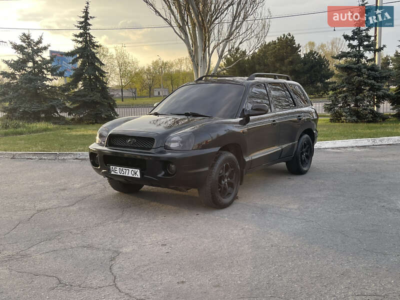 Внедорожник / Кроссовер Hyundai Santa FE 2004 в Днепре
