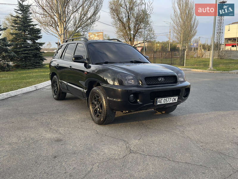 Внедорожник / Кроссовер Hyundai Santa FE 2004 в Днепре