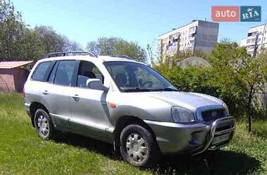 Позашляховик / Кросовер Hyundai Santa FE 2003 в Кременчуці