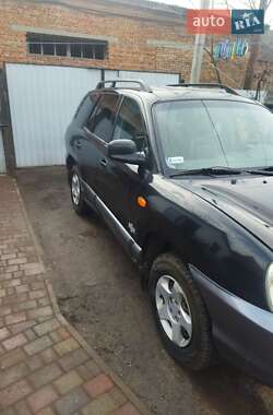 Внедорожник / Кроссовер Hyundai Santa FE 2003 в Звенигородке