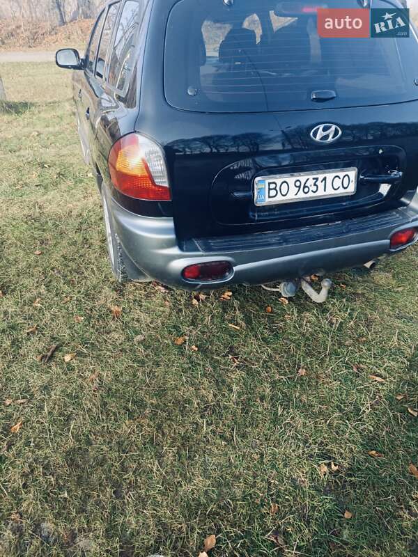 Внедорожник / Кроссовер Hyundai Santa FE 2003 в Подгайцах