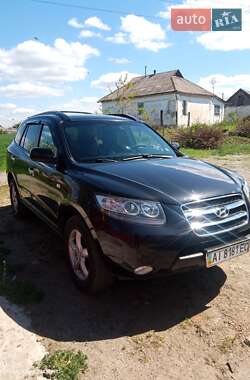 Внедорожник / Кроссовер Hyundai Santa FE 2006 в Белой Церкви