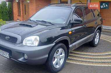 Позашляховик / Кросовер Hyundai Santa FE 2003 в Калуші