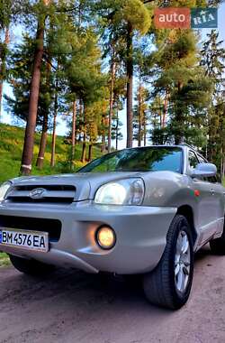 Позашляховик / Кросовер Hyundai Santa FE 2003 в Тростянці