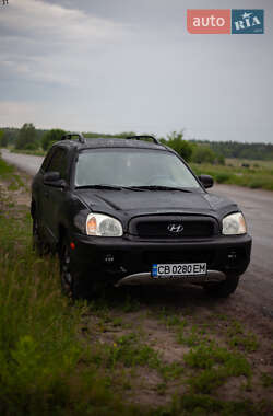 Внедорожник / Кроссовер Hyundai Santa FE 2003 в Чернигове