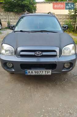 Позашляховик / Кросовер Hyundai Santa FE 2004 в Запоріжжі