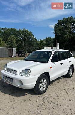 Внедорожник / Кроссовер Hyundai Santa FE 2005 в Умани