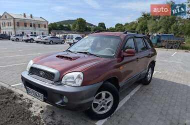 Позашляховик / Кросовер Hyundai Santa FE 2003 в Бережанах