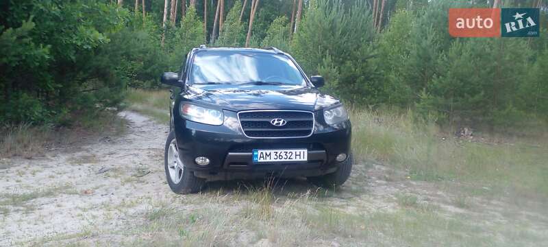 Позашляховик / Кросовер Hyundai Santa FE 2007 в Ємільчиному
