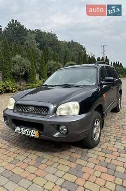Внедорожник / Кроссовер Hyundai Santa FE 2004 в Фастове