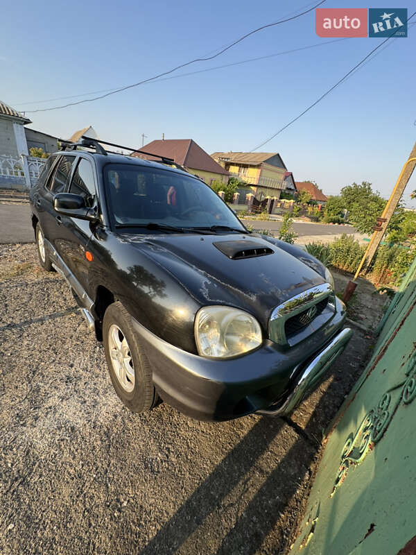 Внедорожник / Кроссовер Hyundai Santa FE 2003 в Николаеве
