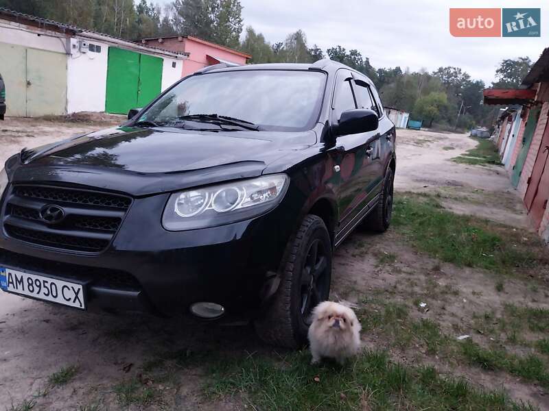Внедорожник / Кроссовер Hyundai Santa FE 2006 в Житомире