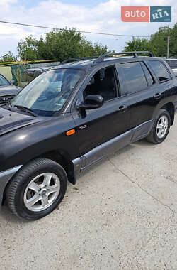 Внедорожник / Кроссовер Hyundai Santa FE 2003 в Маяках