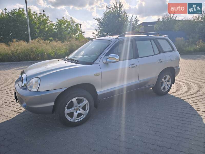 Внедорожник / Кроссовер Hyundai Santa FE 2004 в Жмеринке