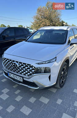Внедорожник / Кроссовер Hyundai Santa FE 2021 в Каменке-Бугской