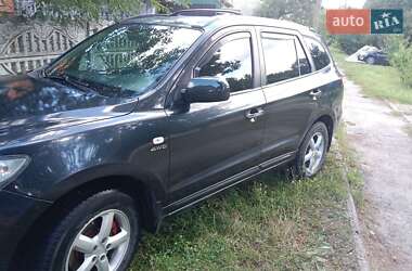 Внедорожник / Кроссовер Hyundai Santa FE 2007 в Сумах
