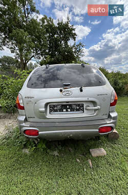 Внедорожник / Кроссовер Hyundai Santa FE 2001 в Лановцах