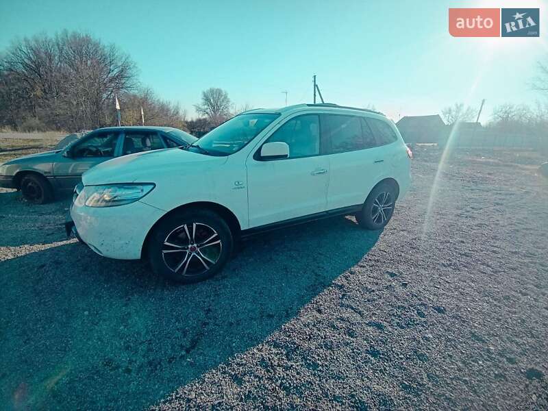 Внедорожник / Кроссовер Hyundai Santa FE 2007 в Днепре