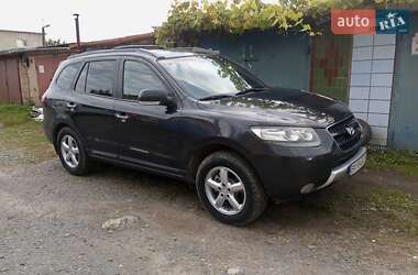 Внедорожник / Кроссовер Hyundai Santa FE 2009 в Шепетовке