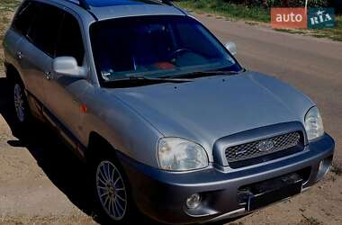 Внедорожник / Кроссовер Hyundai Santa FE 2004 в Нерубайском