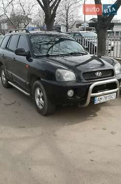 Внедорожник / Кроссовер Hyundai Santa FE 2002 в Коростышеве