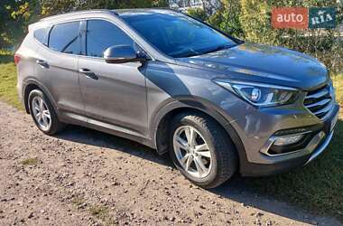Внедорожник / Кроссовер Hyundai Santa FE 2016 в Киеве