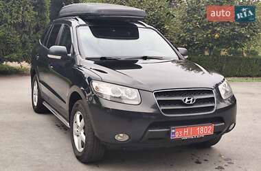 Позашляховик / Кросовер Hyundai Santa FE 2009 в Звягелі