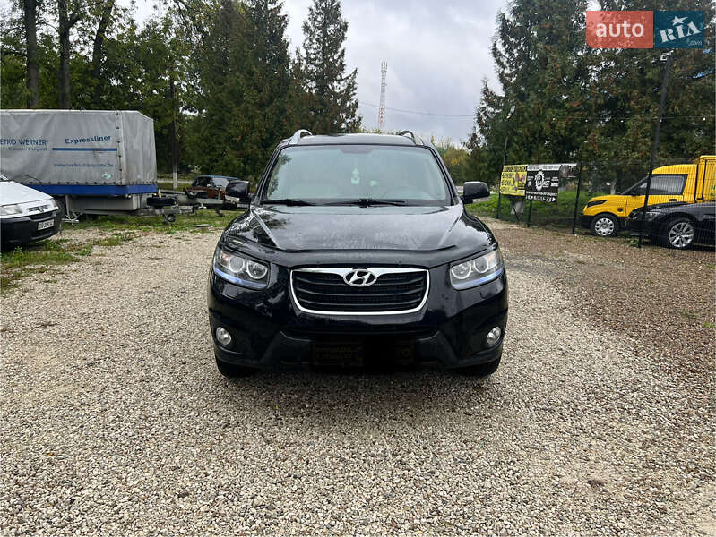 Позашляховик / Кросовер Hyundai Santa FE 2010 в Заліщиках