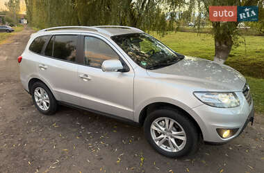 Позашляховик / Кросовер Hyundai Santa FE 2011 в Рівному