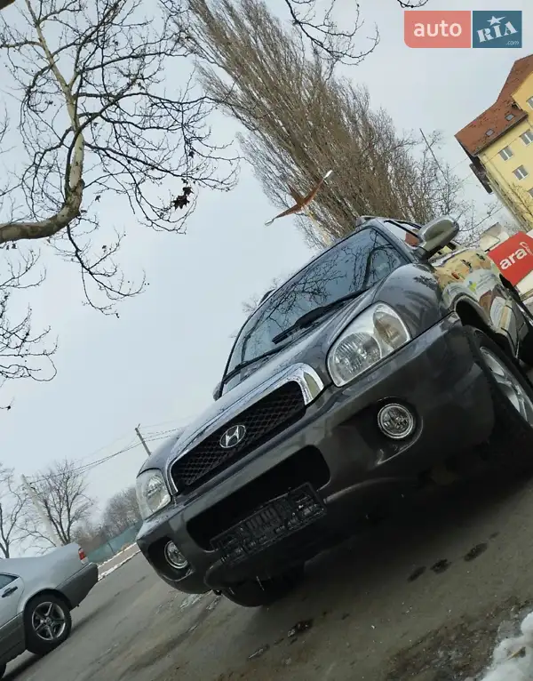 Hyundai Santa FE 2003 VIN KMHSC81VP3U458923 фото оголошення 12 з 48