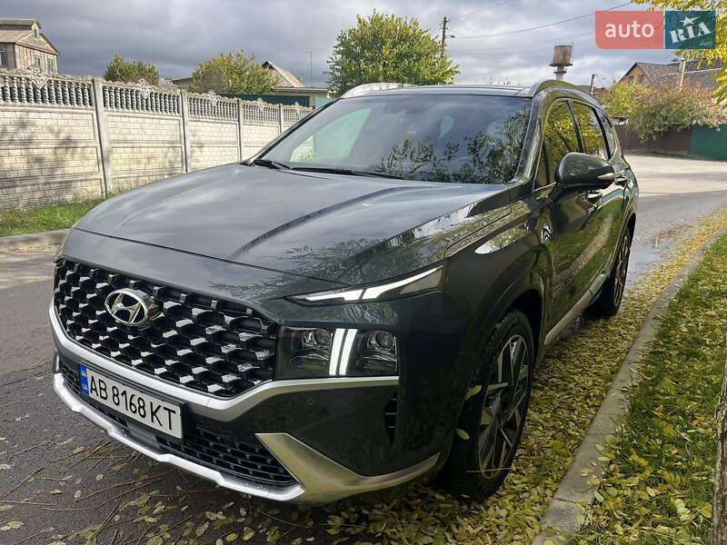 Внедорожник / Кроссовер Hyundai Santa FE 2021 в Киеве фото 6 Внедорожник / Кроссовер Hyundai Santa FE 2021 в Киеве