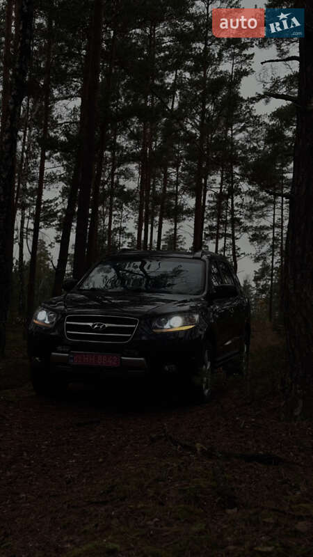 Внедорожник / Кроссовер Hyundai Santa FE 2006 в Ровно