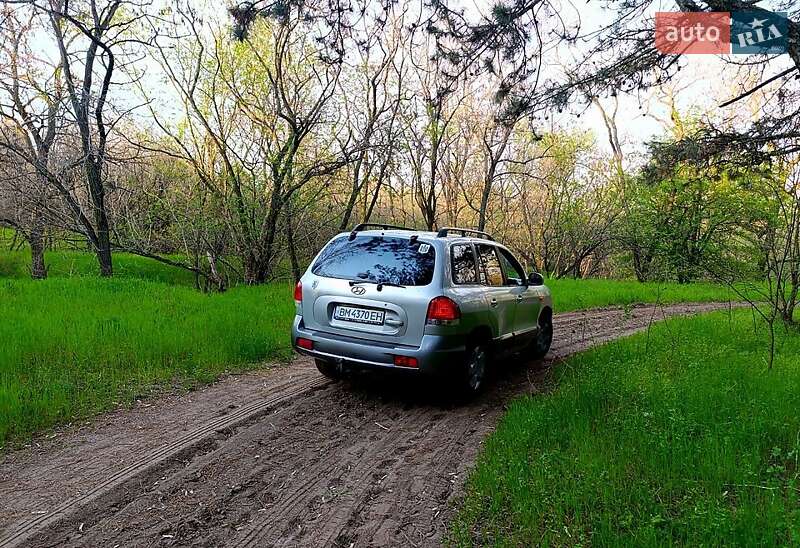 Внедорожник / Кроссовер Hyundai Santa FE 2005 в Запорожье