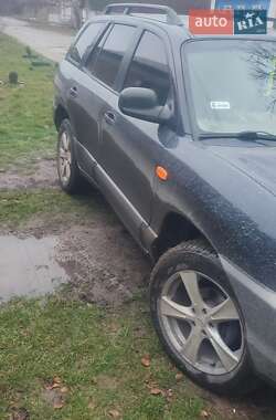 Позашляховик / Кросовер Hyundai Santa FE 2003 в Путивлі