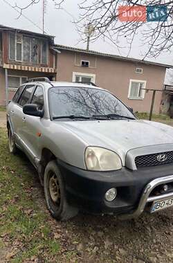 Внедорожник / Кроссовер Hyundai Santa FE 2001 в Бучаче