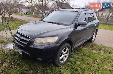 Позашляховик / Кросовер Hyundai Santa FE 2008 в Житомирі