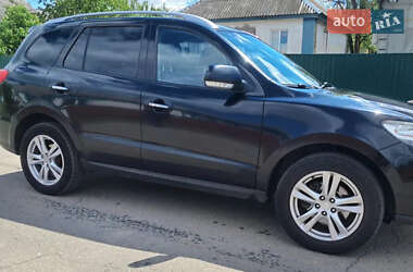 Внедорожник / Кроссовер Hyundai Santa FE 2010 в Шполе