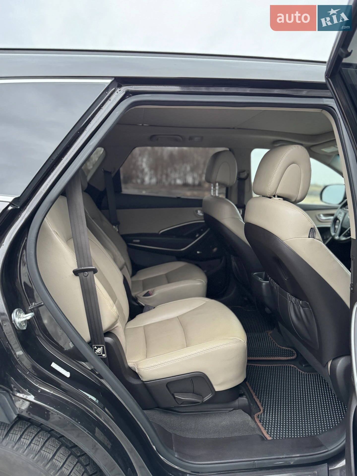 2017 Hyundai Santa Fe - мініатюра 28