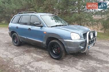 Внедорожник / Кроссовер Hyundai Santa FE 2002 в Прилуках
