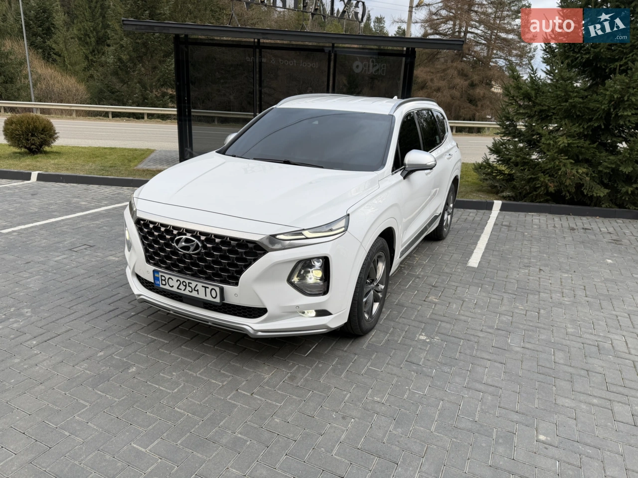 2019 Hyundai Santa Fe - мініатюра 45